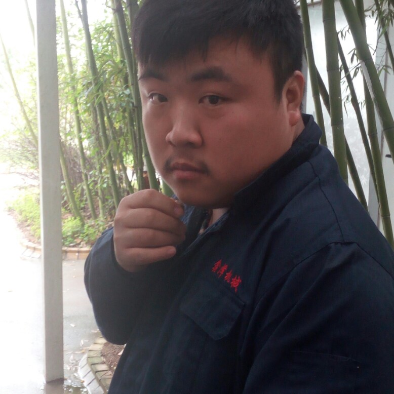 翩飞大地的照片