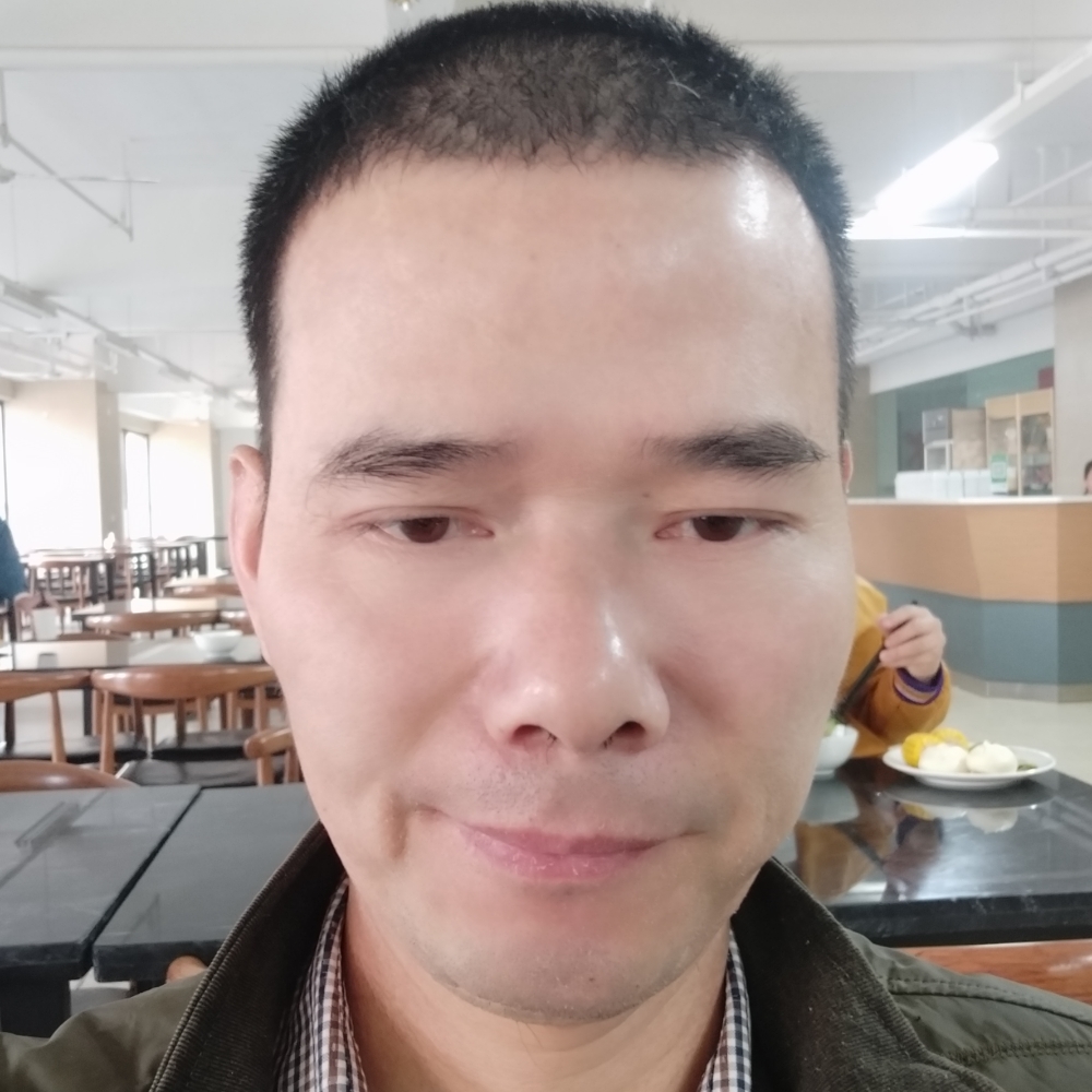 汉堡故意的照片