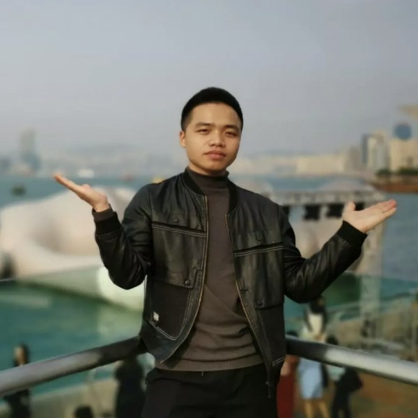 猫咪的聪慧的照片