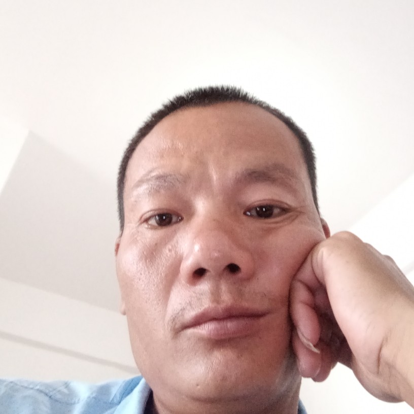 寻梦相逢的照片