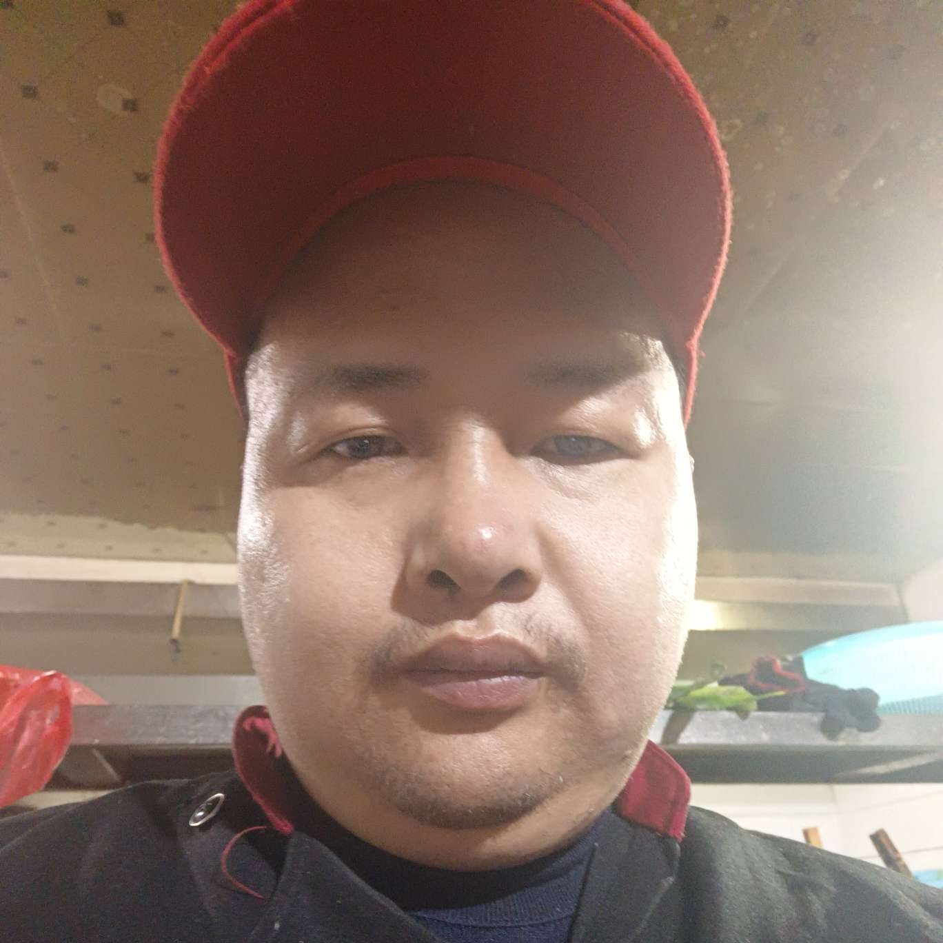 淡定倾心胡萝卜的照片
