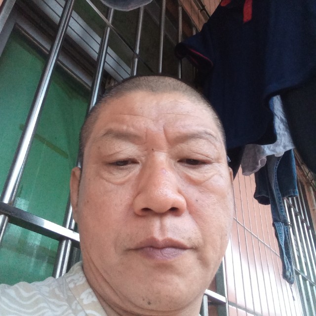 前进的兔子的照片