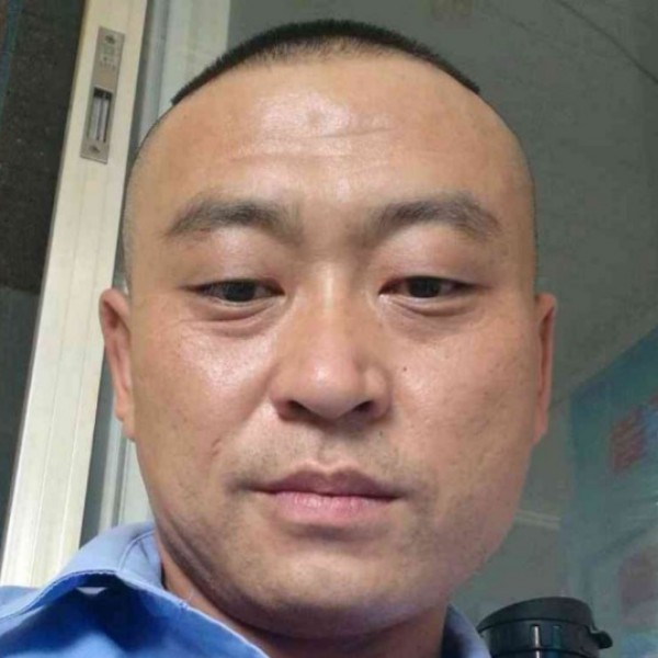 平常愿菠萝的照片