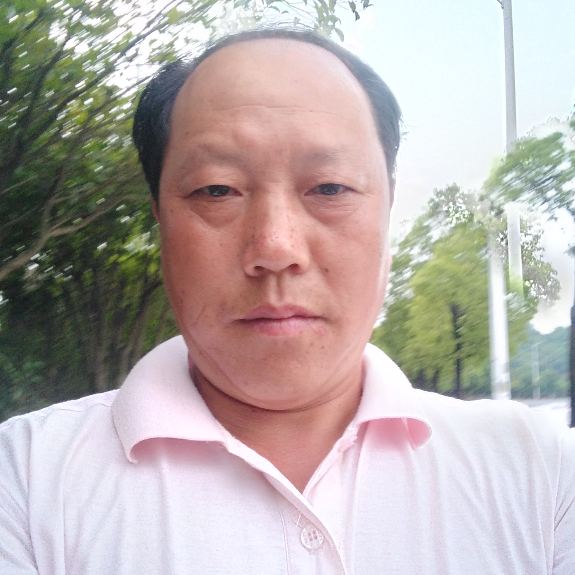 竹叶青又青的照片