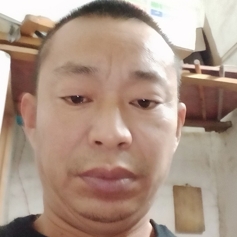 绿草停止平淡的照片