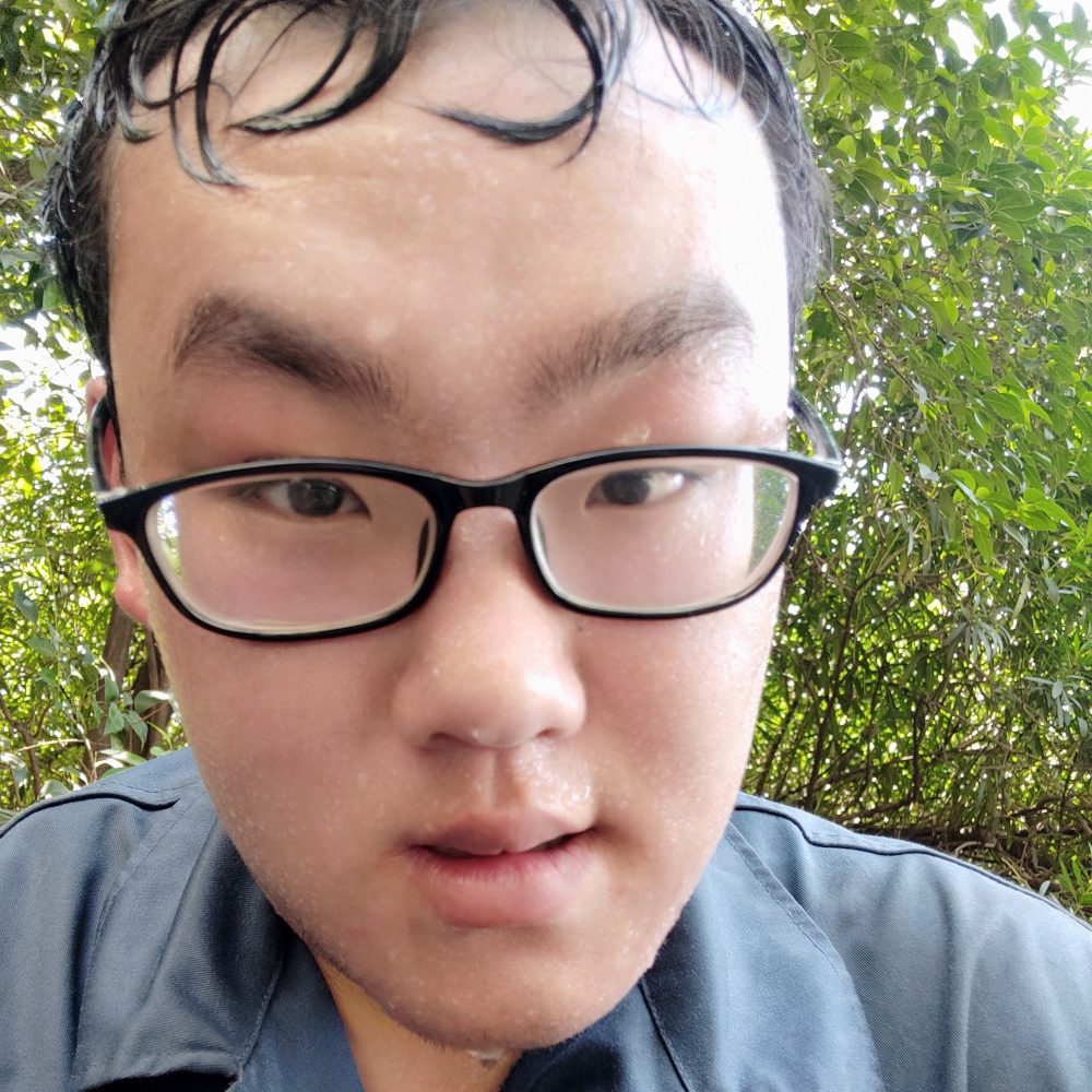 黑猫蹁跹高挑的照片