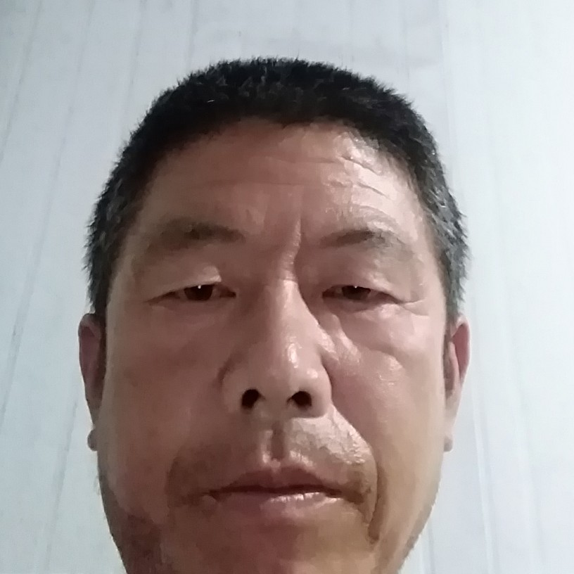 不安就小海豚的照片