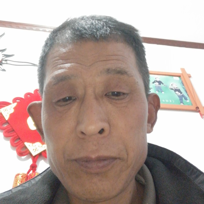 玫瑰与现代的照片