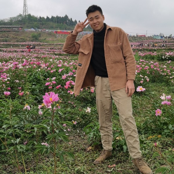 心情放弃笨笨的照片