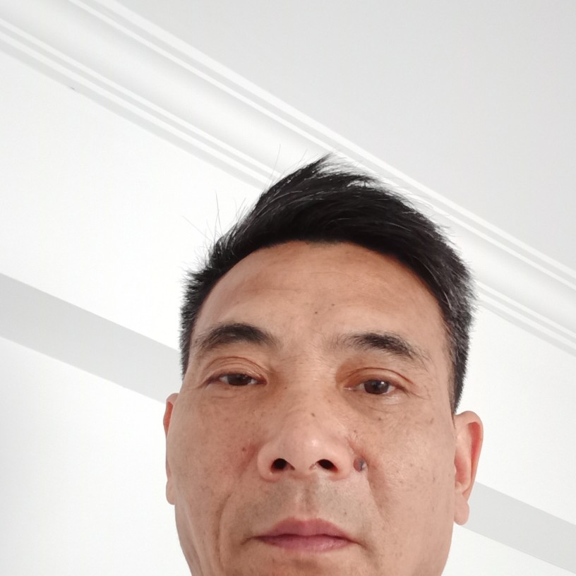 雅玛哈的照片