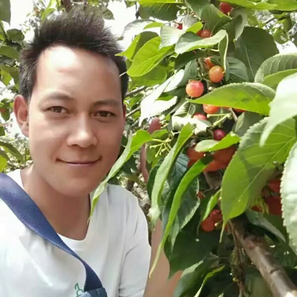 淡定踢心锁的照片