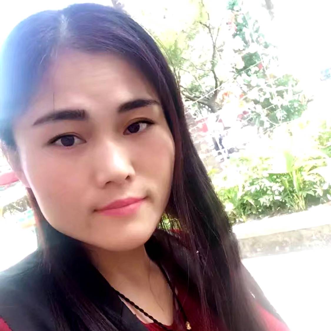 小海豚忧心的照片