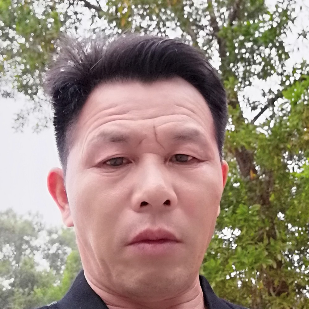 石头机灵的照片