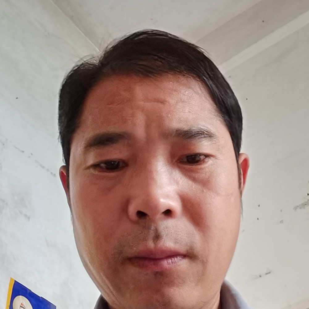 不解的苦恋灰狼的照片