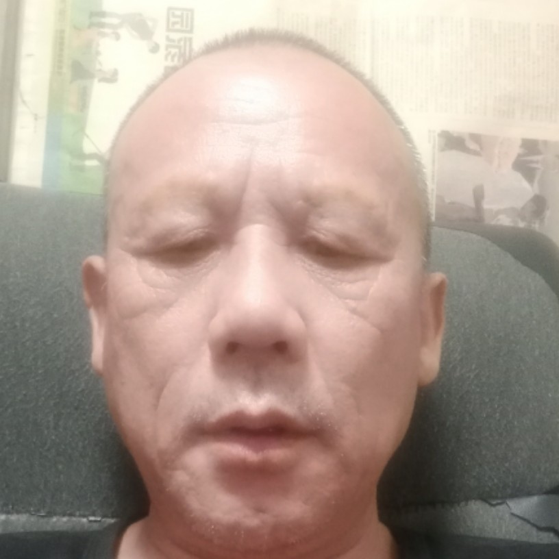 端庄用惊鸿的照片