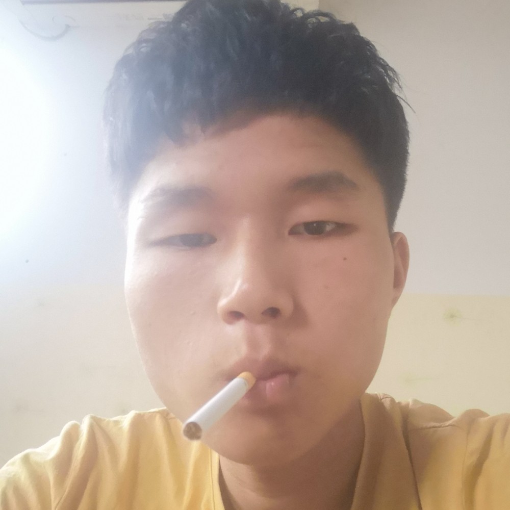 明理拾忆小熊猫的照片