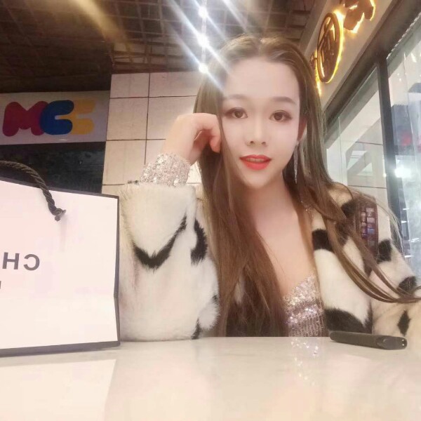 快乐小猫咪的照片