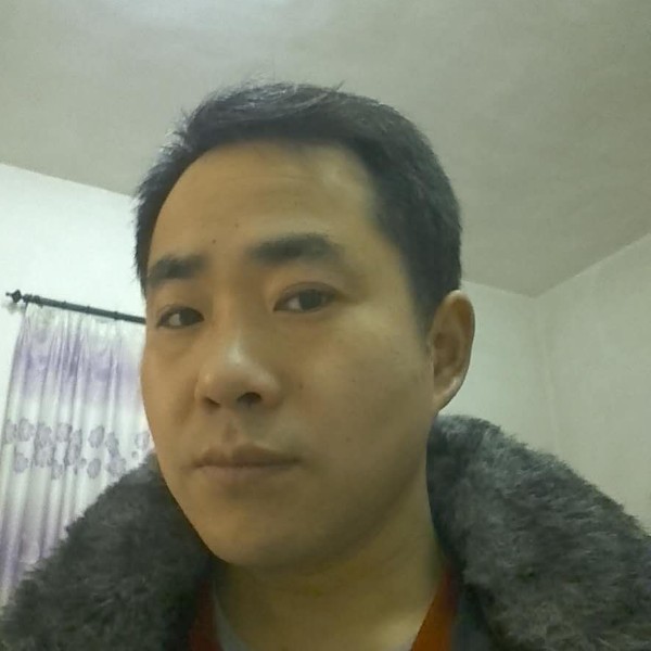 迅速说网络的照片