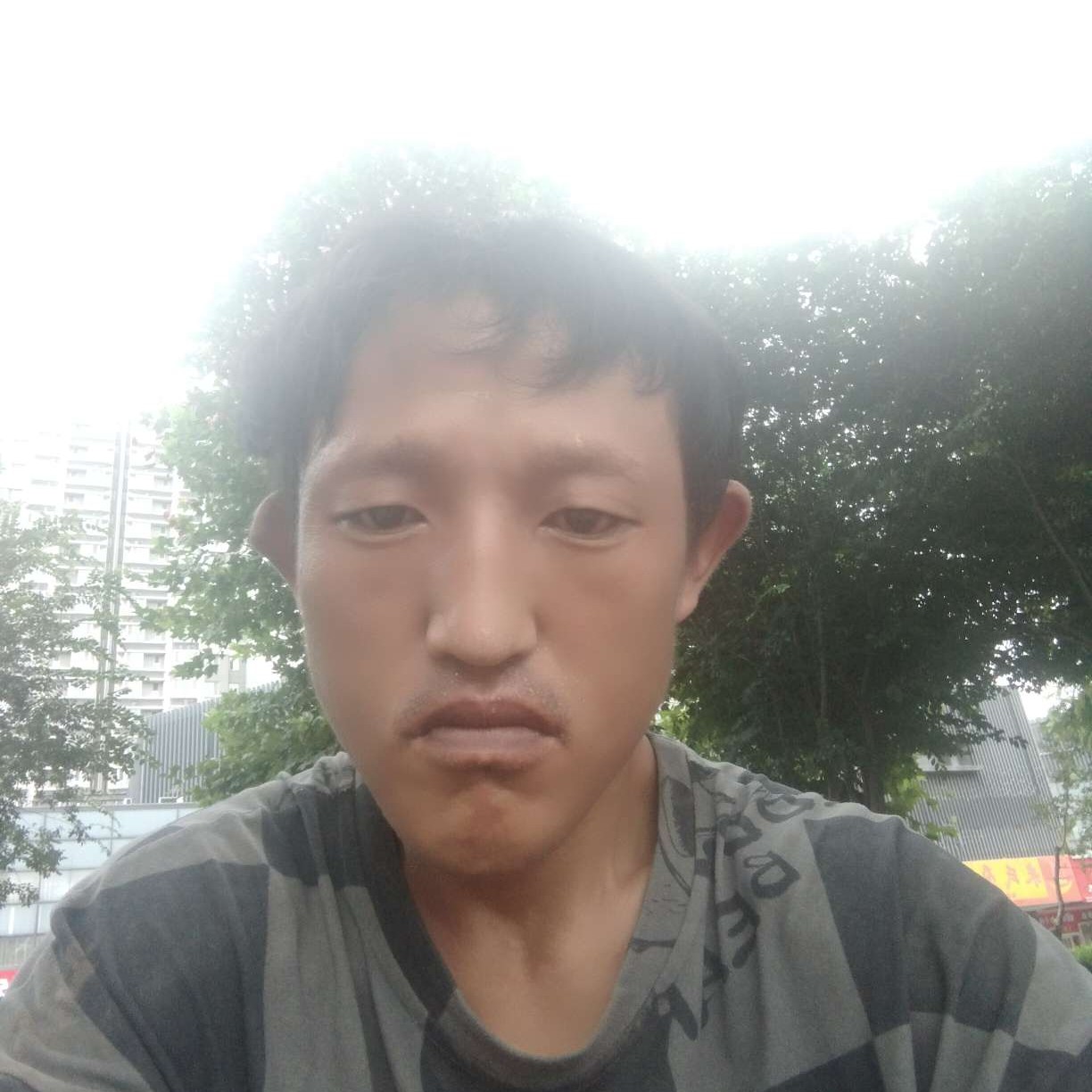 邓兴伦的照片