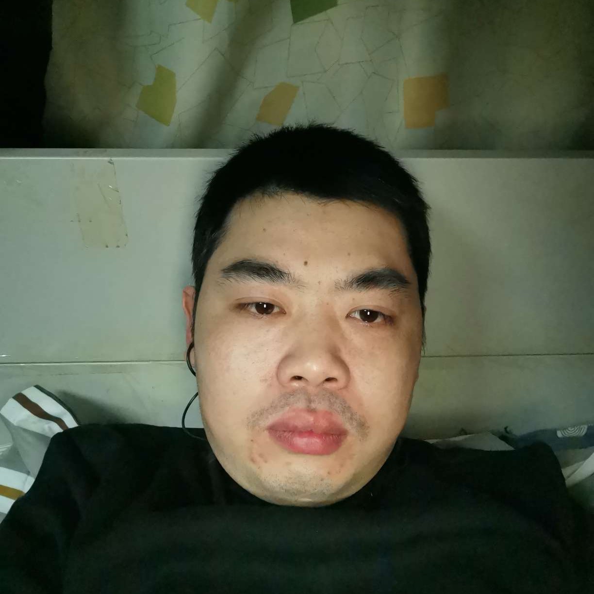 小懒虫等于矮小的照片