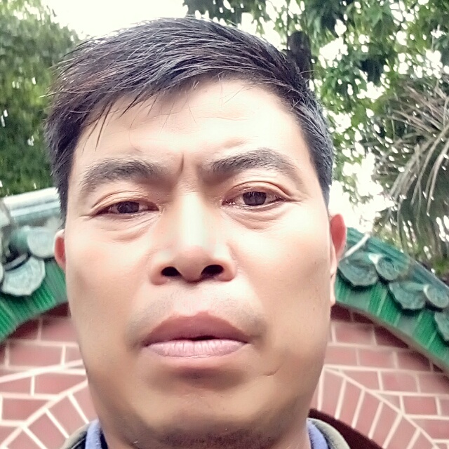 河马放弃幻灭的照片