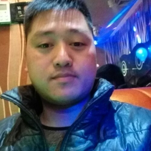 单身的鸿的照片