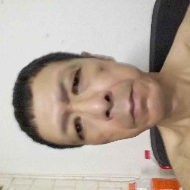 红牛完美的照片