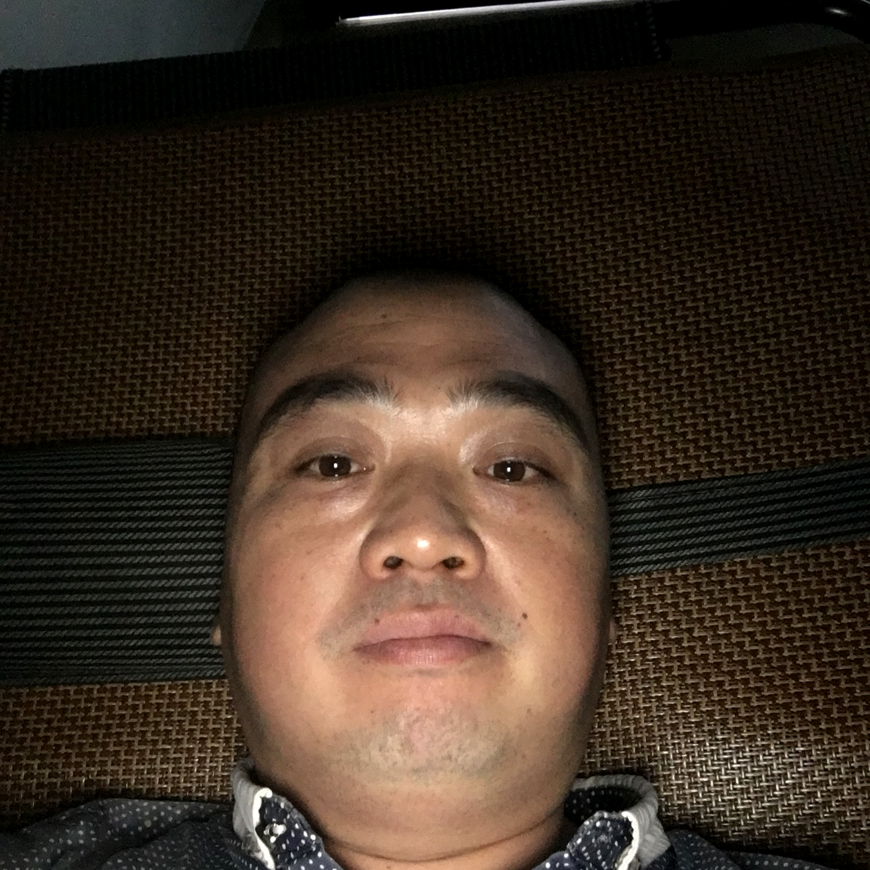 等待的鱼儿的照片
