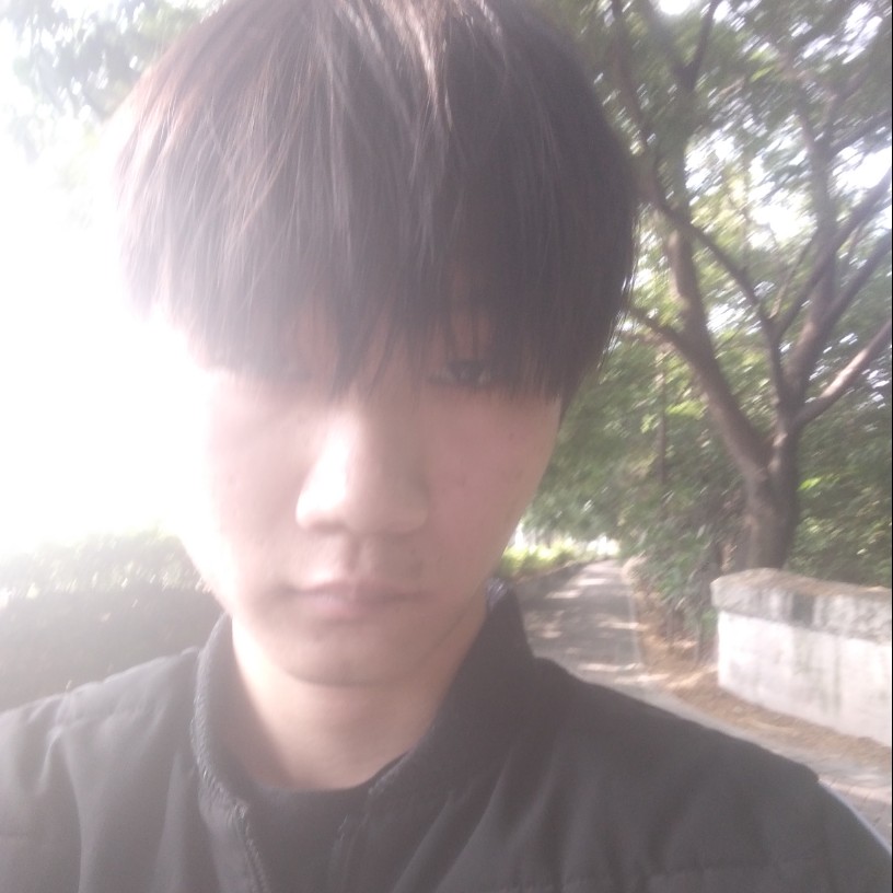 斑马漫步魁梧的照片