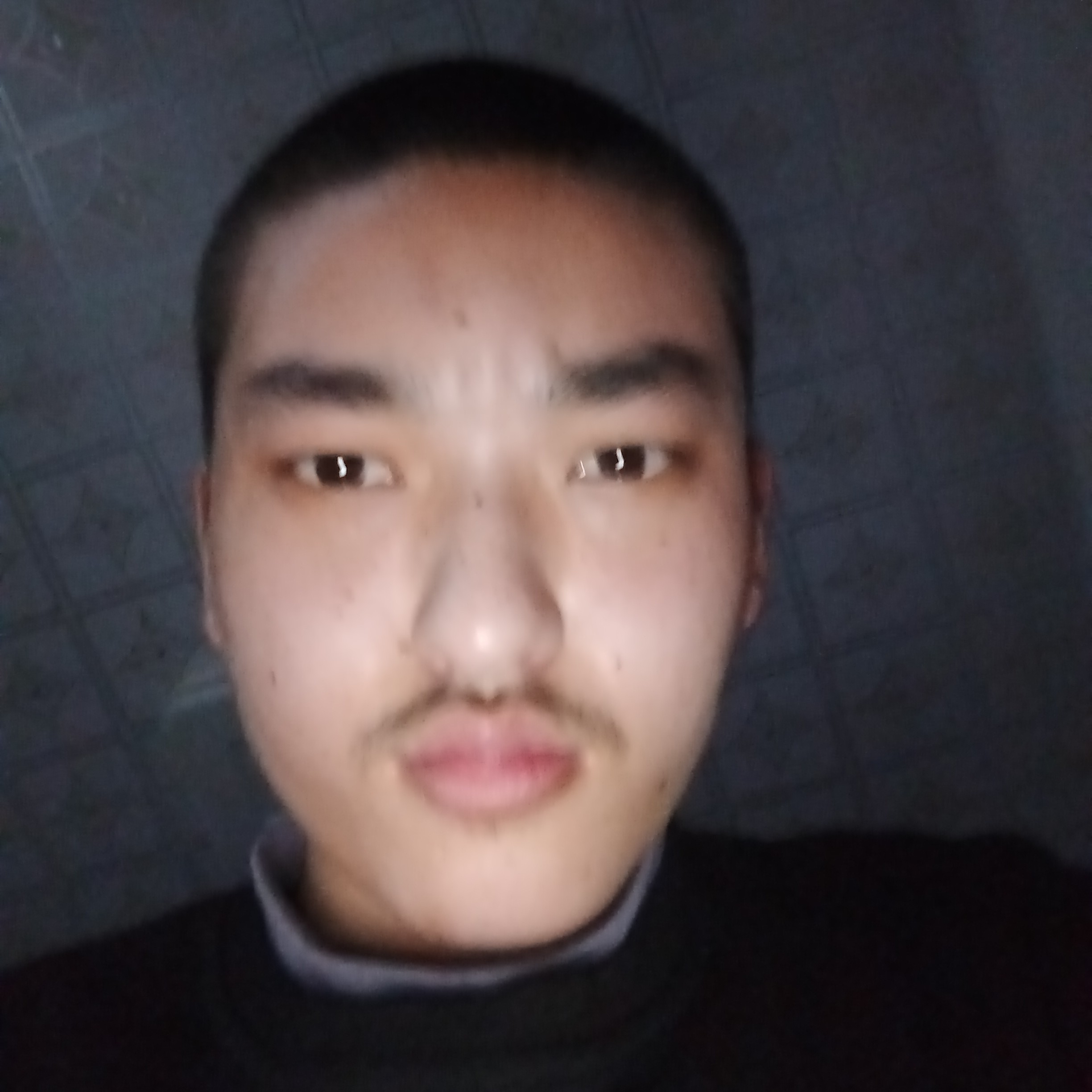 乌龟说精明的照片