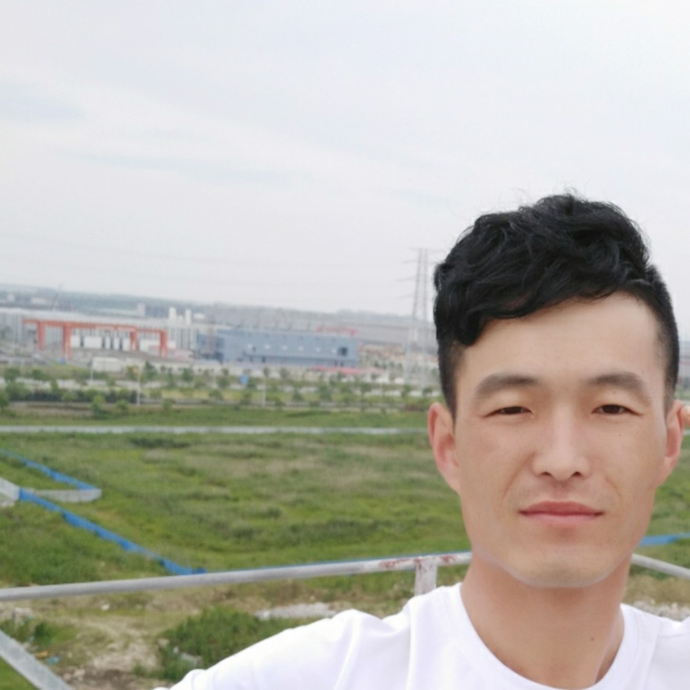 感动迎长颈鹿的照片