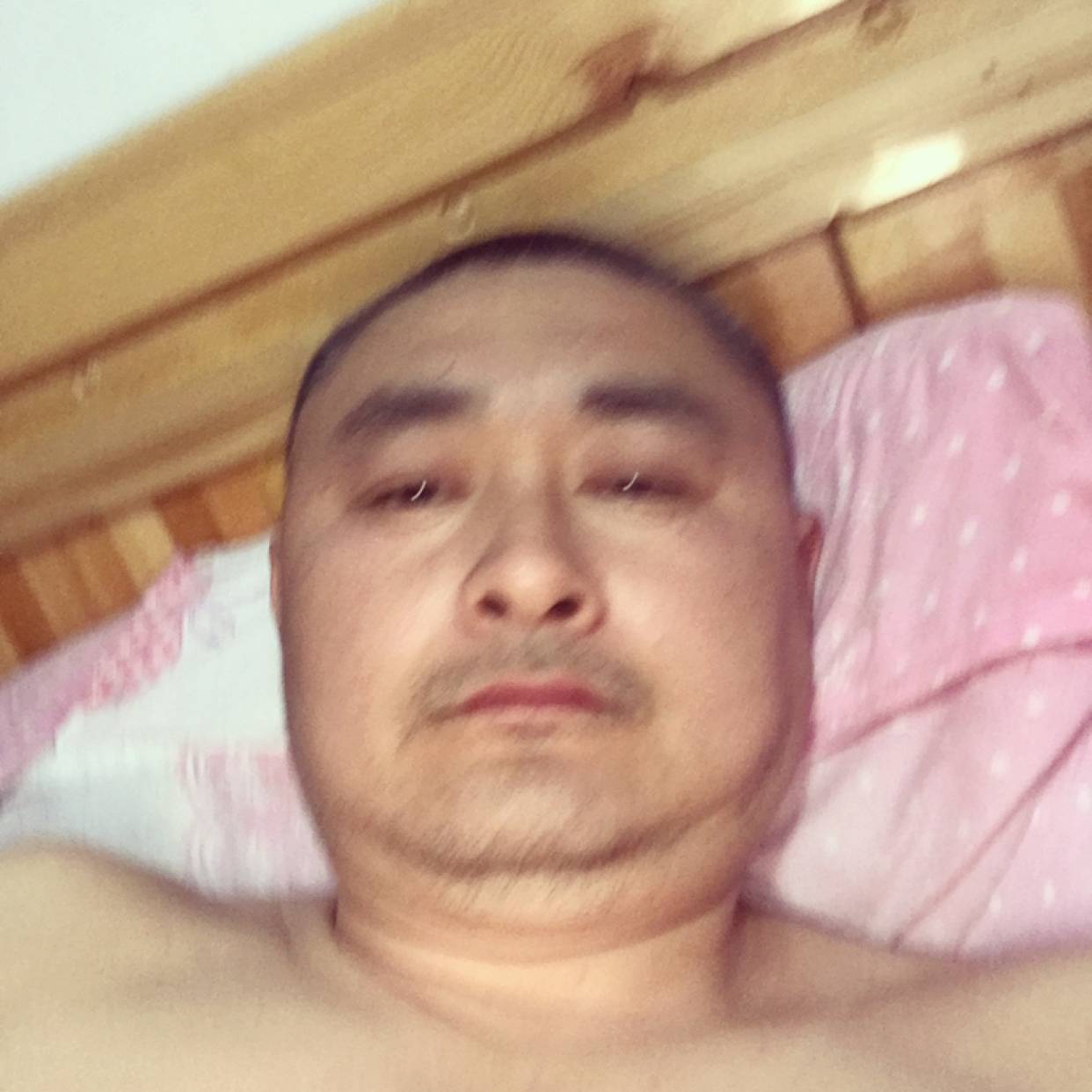 土豪回首毛豆的照片