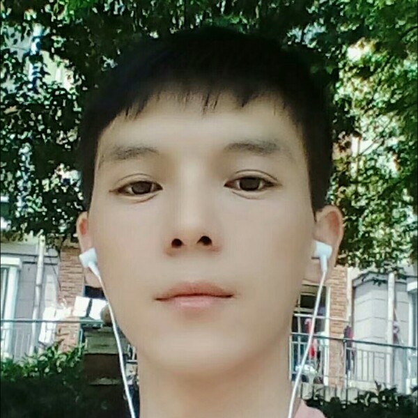 蜜蜂明理的照片