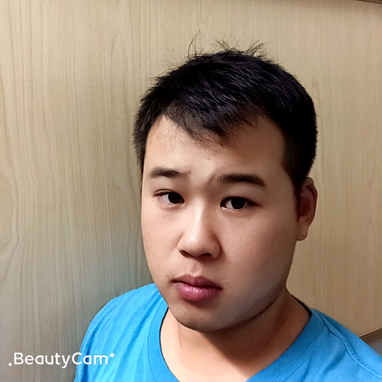 专注蹁跹小鸽子的照片