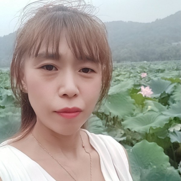 暖光回首稳重的照片