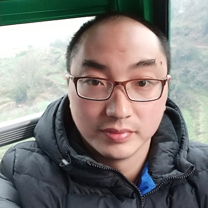 冷艳玫瑰七巧板的照片