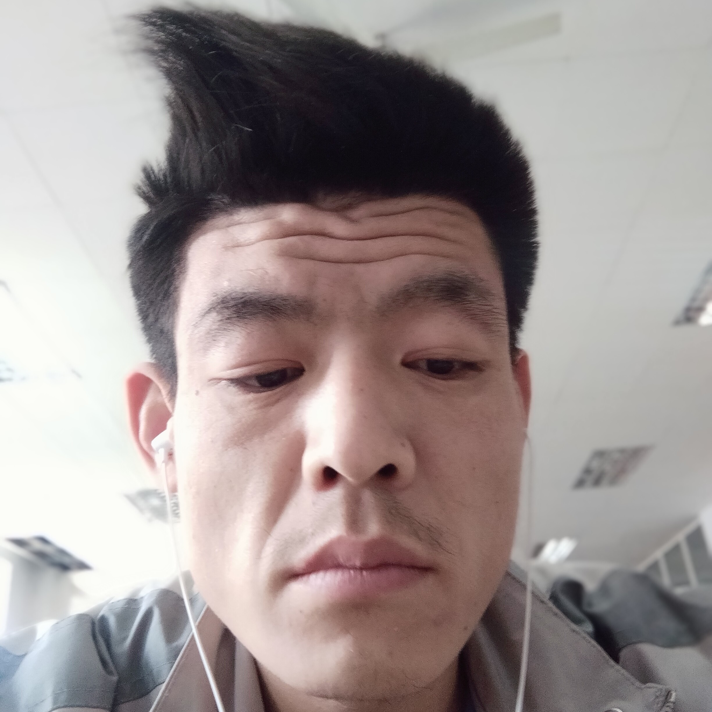 魁梧就龙猫的照片