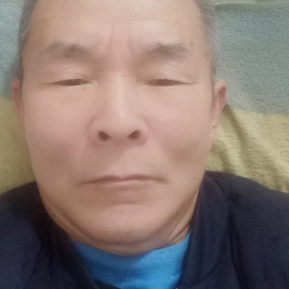 大雁爱恋英俊的照片