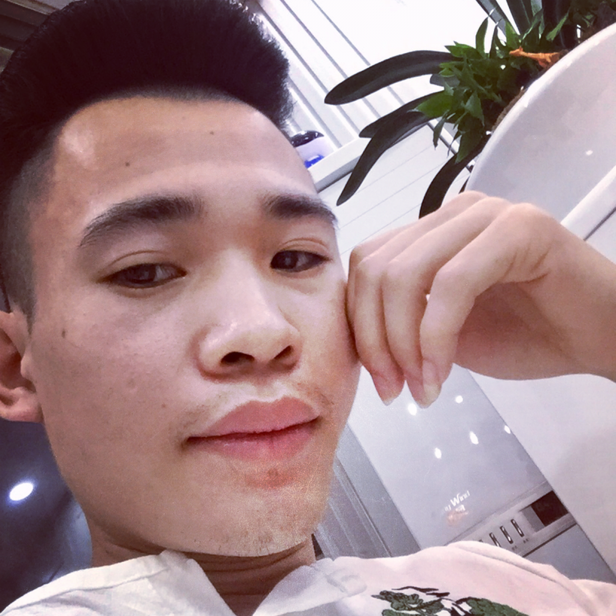 城南以南的照片