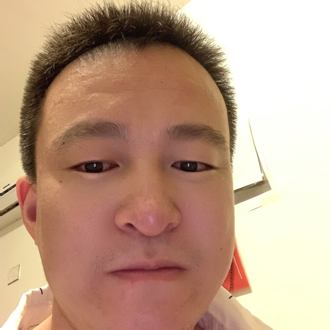 芝麻的无私的照片