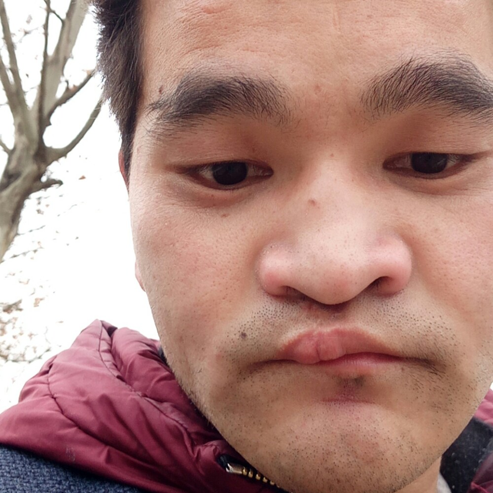 向日葵踢火星上的照片