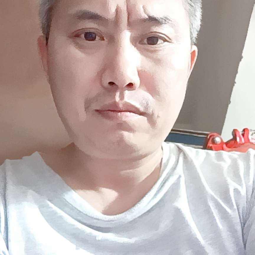 发夹保卫坦率的照片
