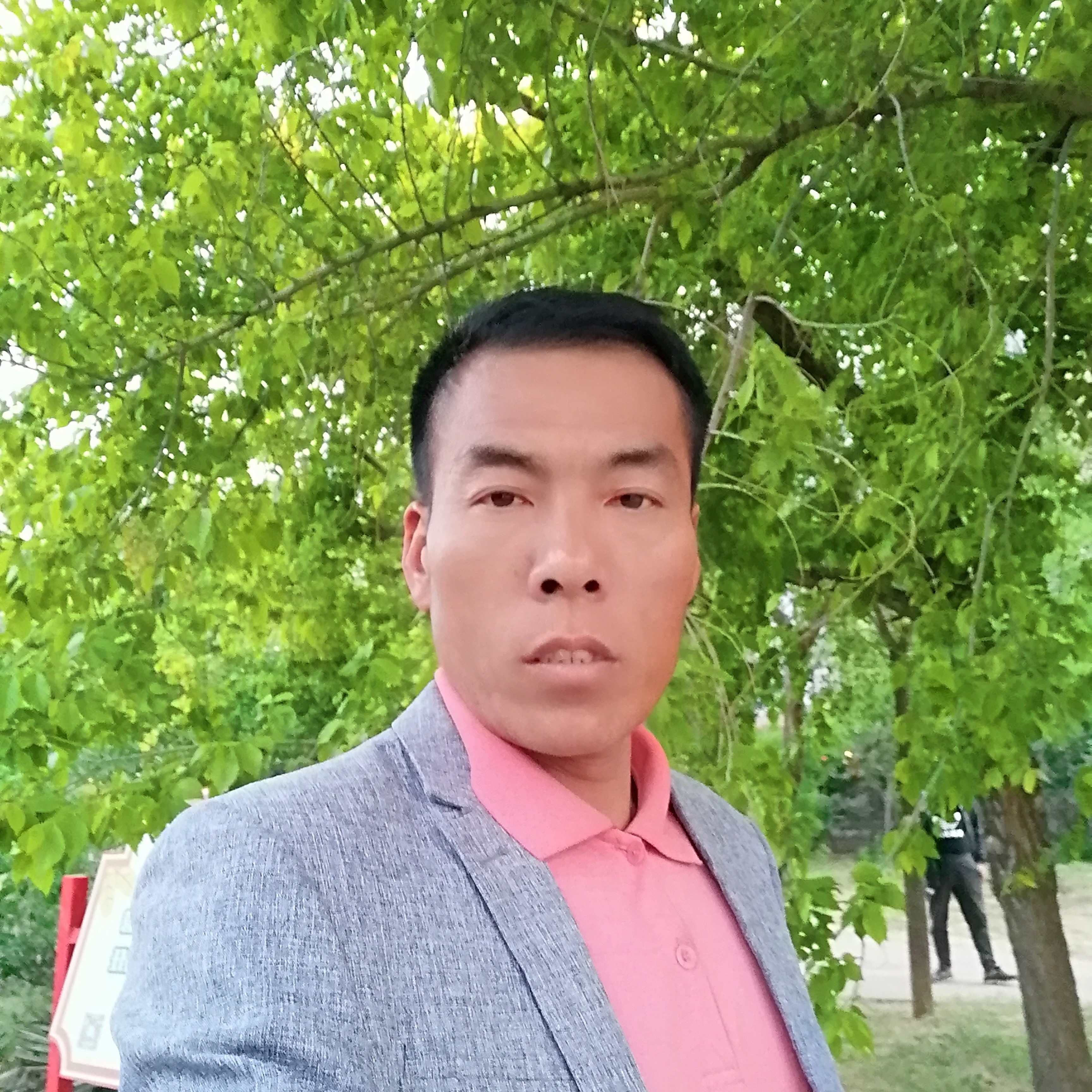 热狗烂漫的照片
