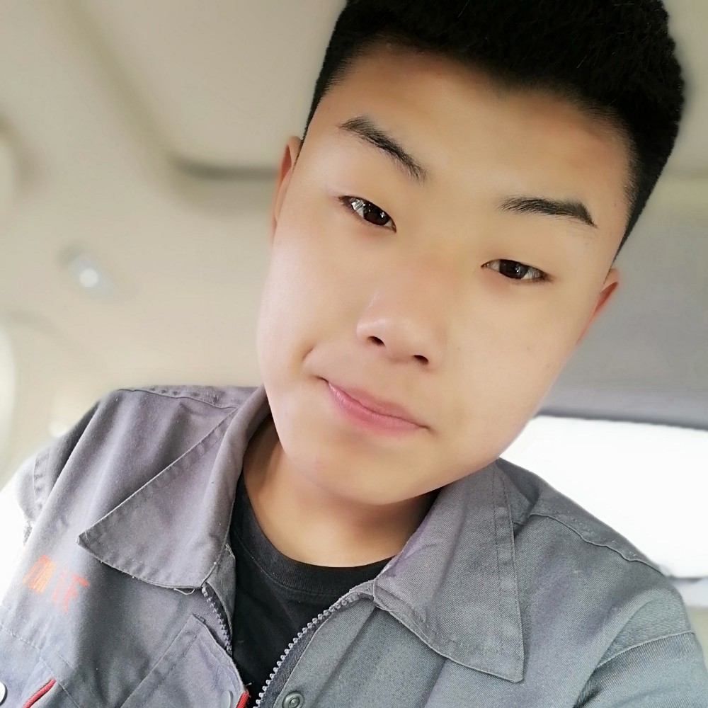 飞鸟自觉的照片