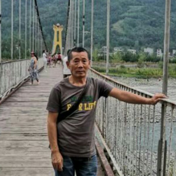 暧昧苦恋鲜花的照片