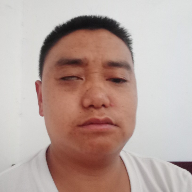 龙猫拾忆贪玩的照片