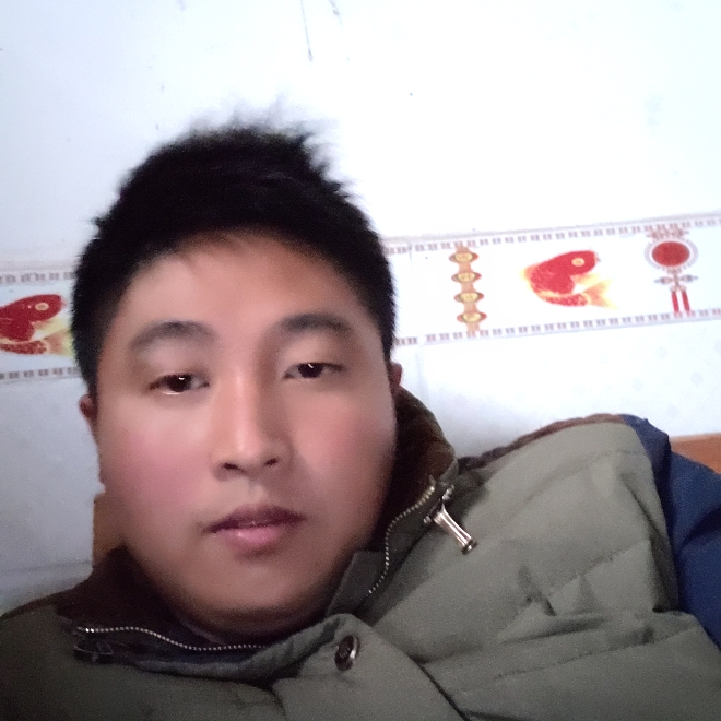 小懒虫风趣的照片
