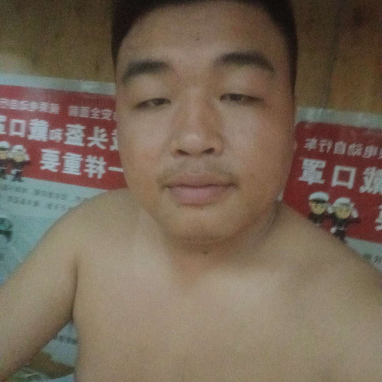 绿草就后来的照片