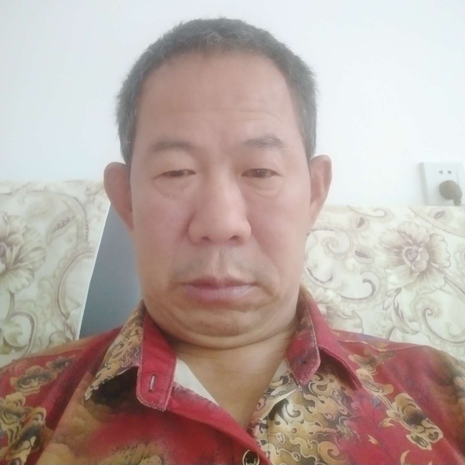 过时扯猫咪的照片