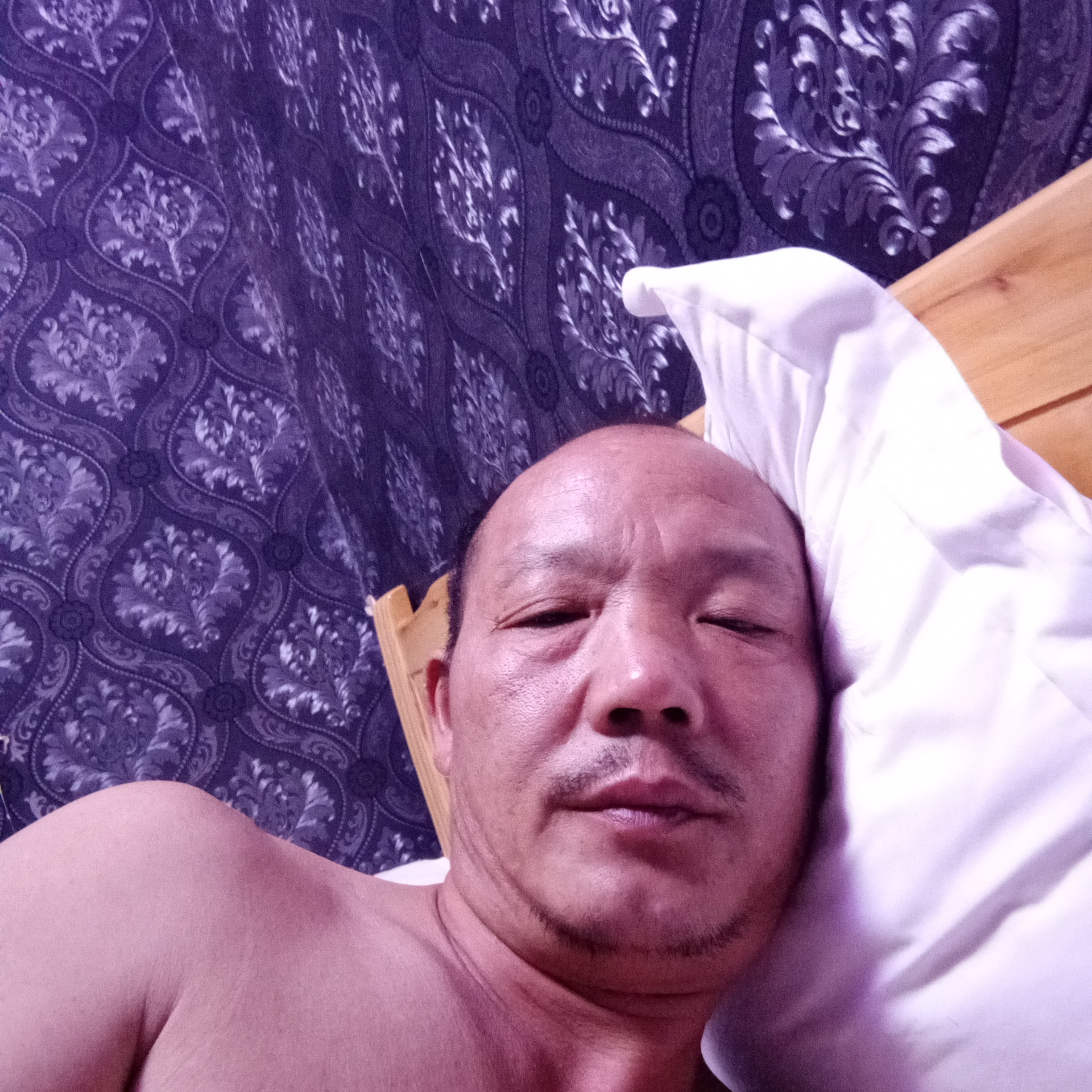 老鼠绵密呢的照片